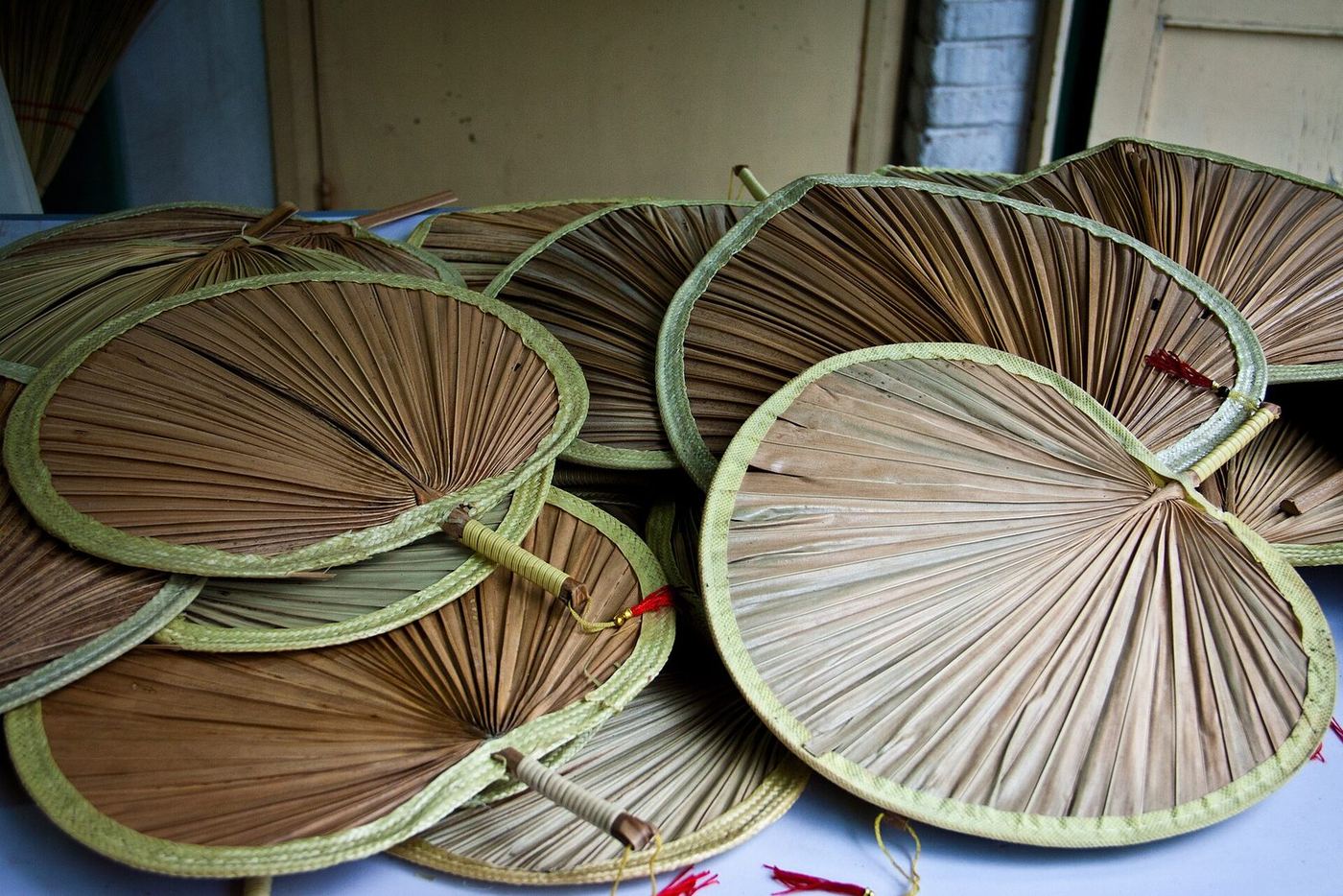 Display of traditional Chinese fans with painted leaves